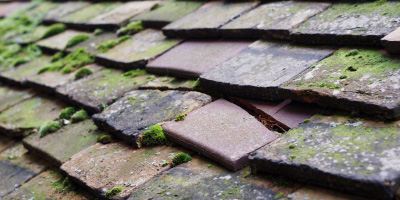 Himley roof repair costs